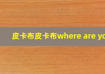 皮卡布皮卡布where are you